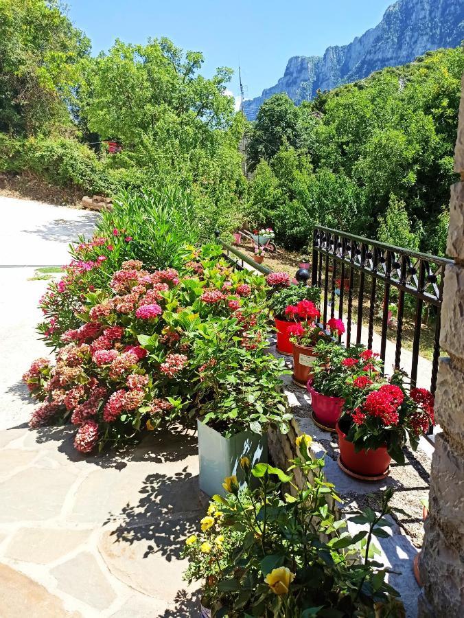 Hotel Foris House Vikos Esterno foto