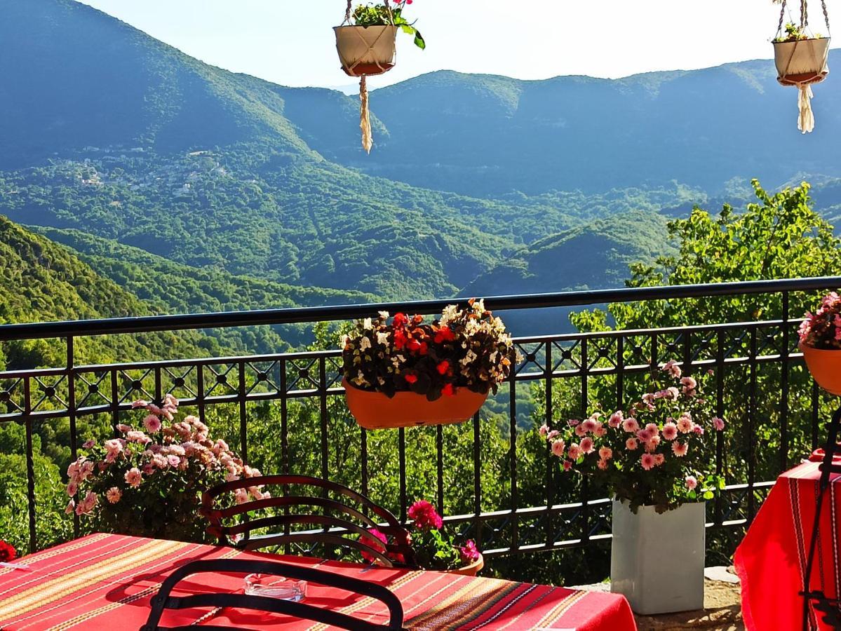 Hotel Foris House Vikos Esterno foto