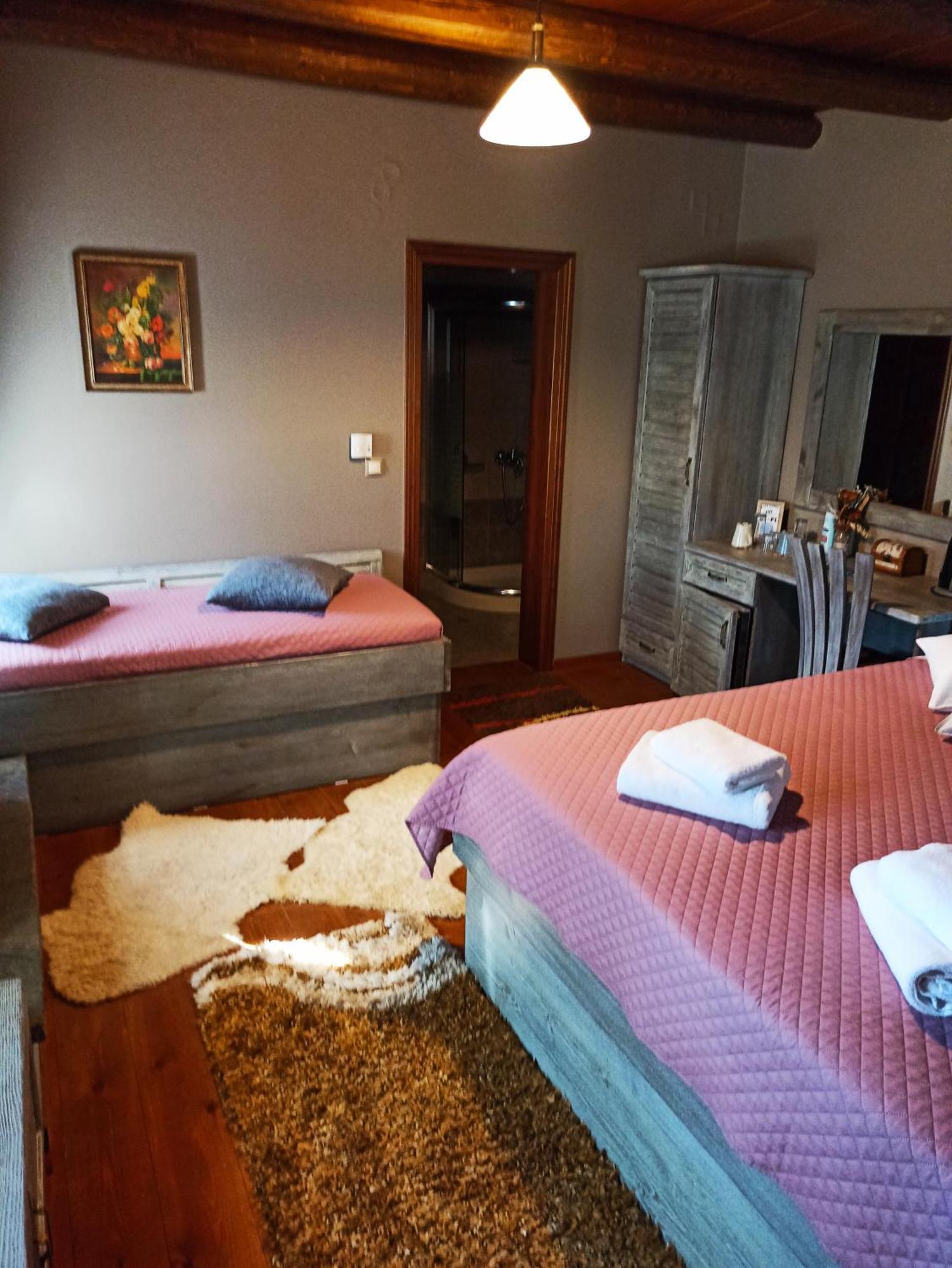 Hotel Foris House Vikos Camera foto